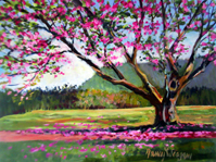 cherry_tree_at_boscabel