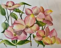 Pink Dogwood