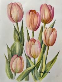 Pink Tulips