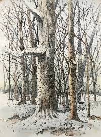 Snowy Day