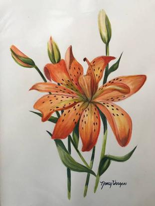 Tiger Lily