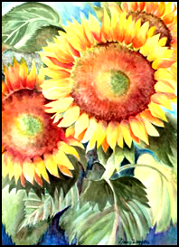 Sunflowers