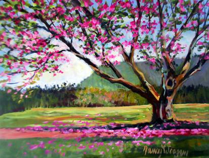 Cherry_Tree_at_Boscabel_L