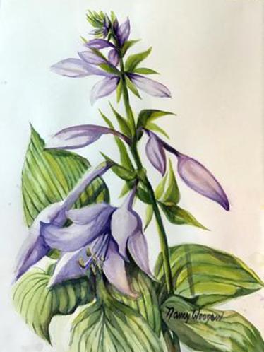 Hosta Flower