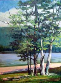 Birch Tree-en plein air