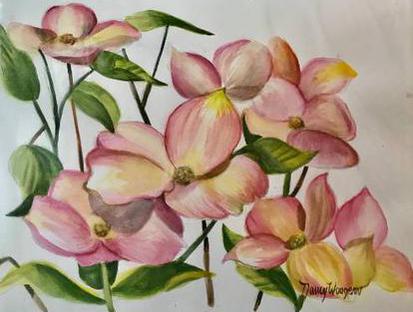 Pink Dogwood