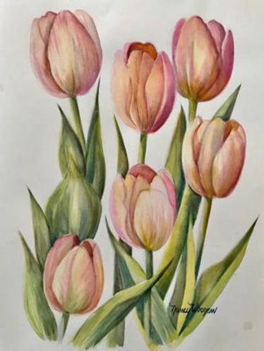 Pink Tulips