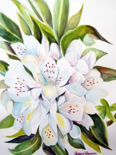 White_Rhododendron_L