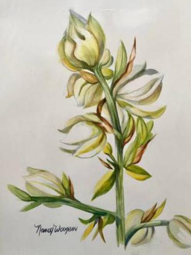 Yucca Flower