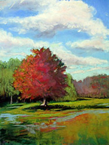 Sky and Autumn Tree